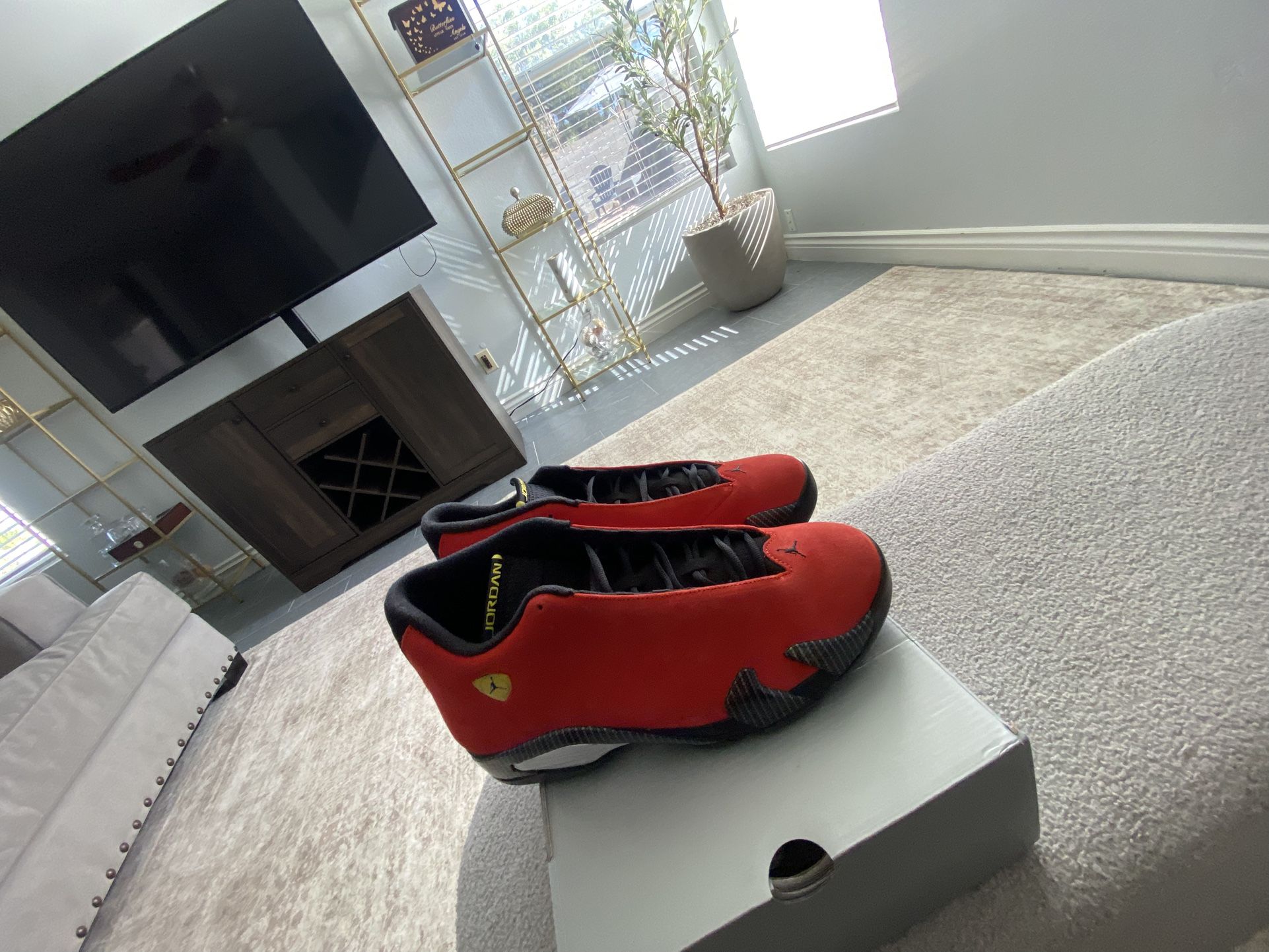 Jordan Ferrari 14