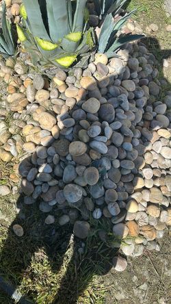 Rocks