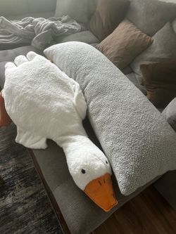 Free Pillows