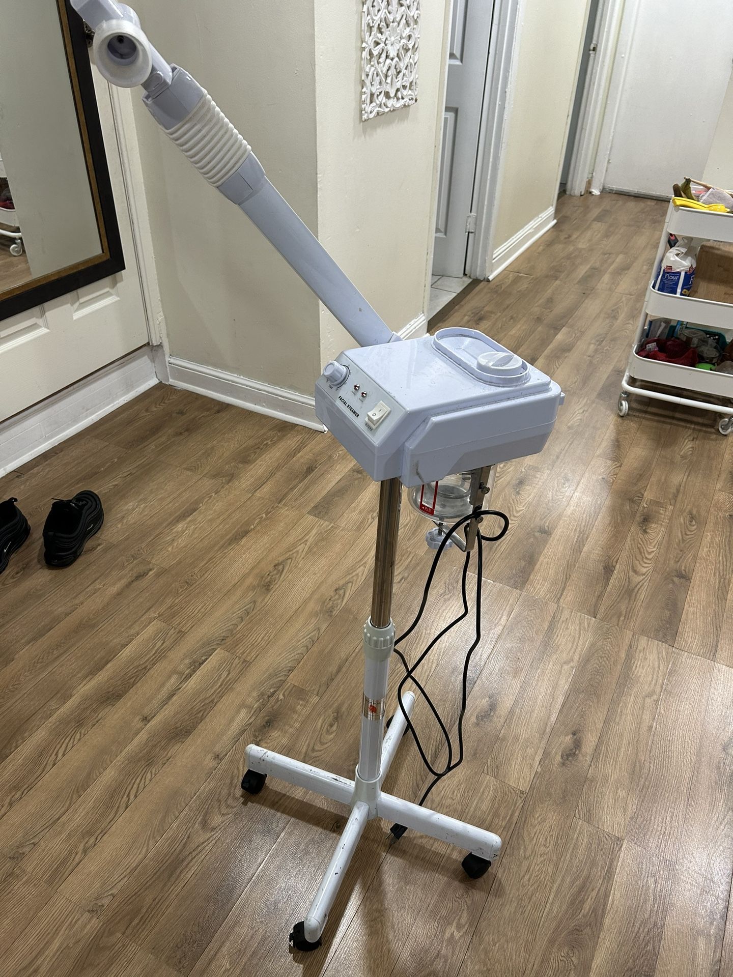 Facial Steamer