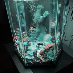 20 Gallon Aquarium 
