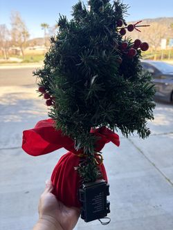 Mini tree with lights