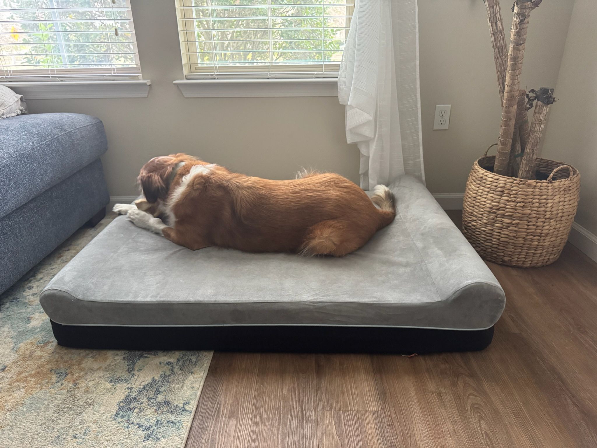 Extra Large Dog Bed Memory Foam Dog Bed