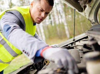 Tune Up/ Oil/ Spark Plugs