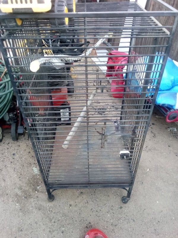 Bird Cage