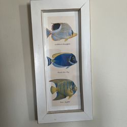 Fish Decor