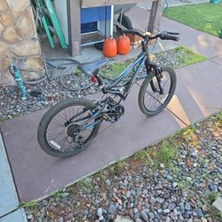 20 Inch Kids Bike For Sale