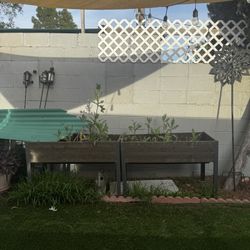 Raised garden beds