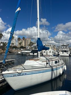1981 Newport 30 Brand New Diesel/ Comes with Survey