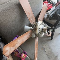 Ceiling fan