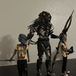 Predator Collectables