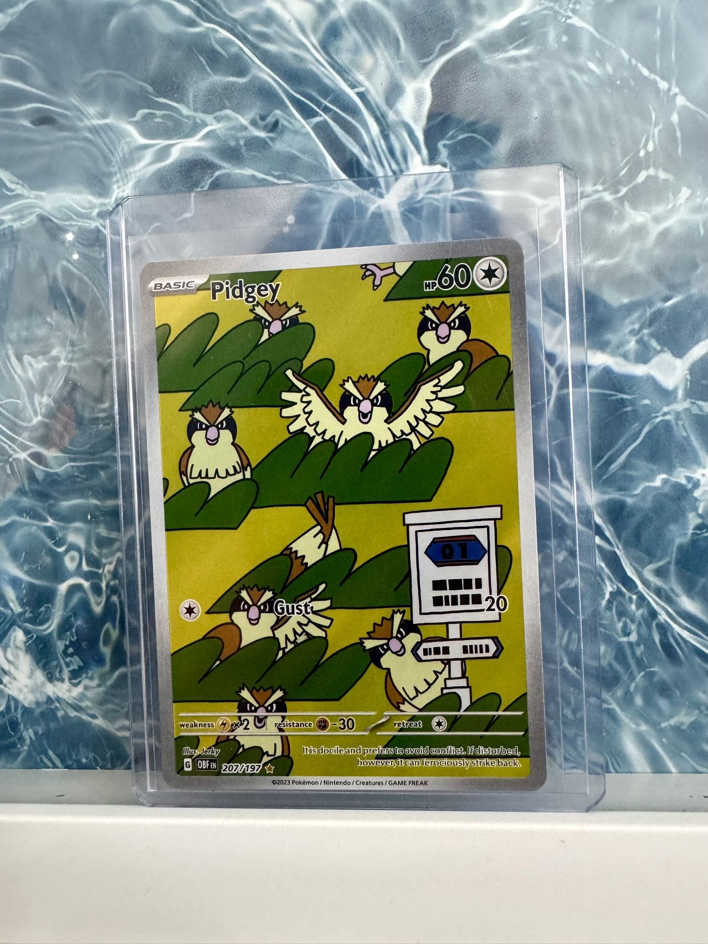Pidgey Pokemon Cards