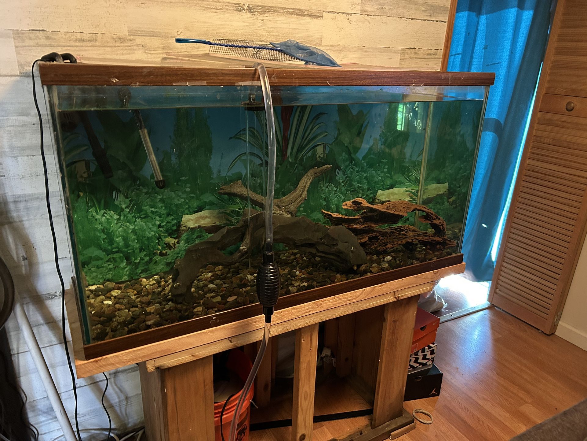 75 Gallon Tank
