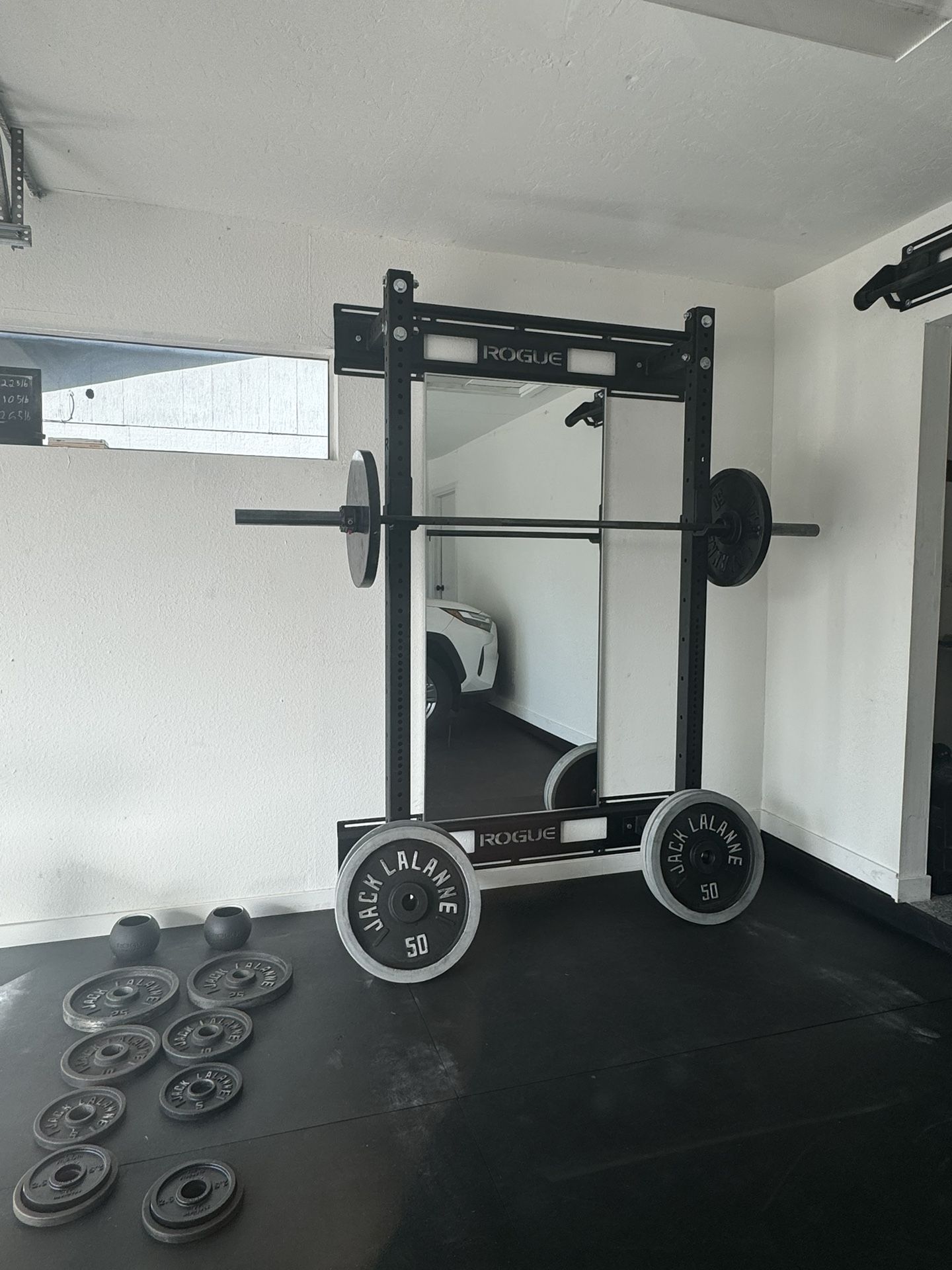 Rogue Gym With Weights