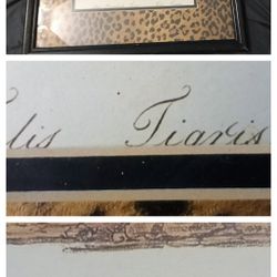 Items $10.00 Per Pictures Item