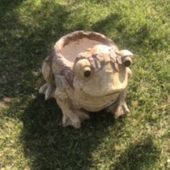 New Flower Pots Perfect Gift For Any Occasion 