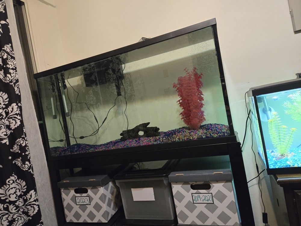 Fish Tank And Stand 