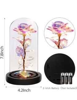 Rose In A Glass