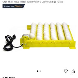 Incubator 
