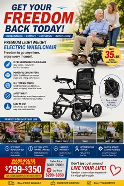wheelchair/electric wheelchair