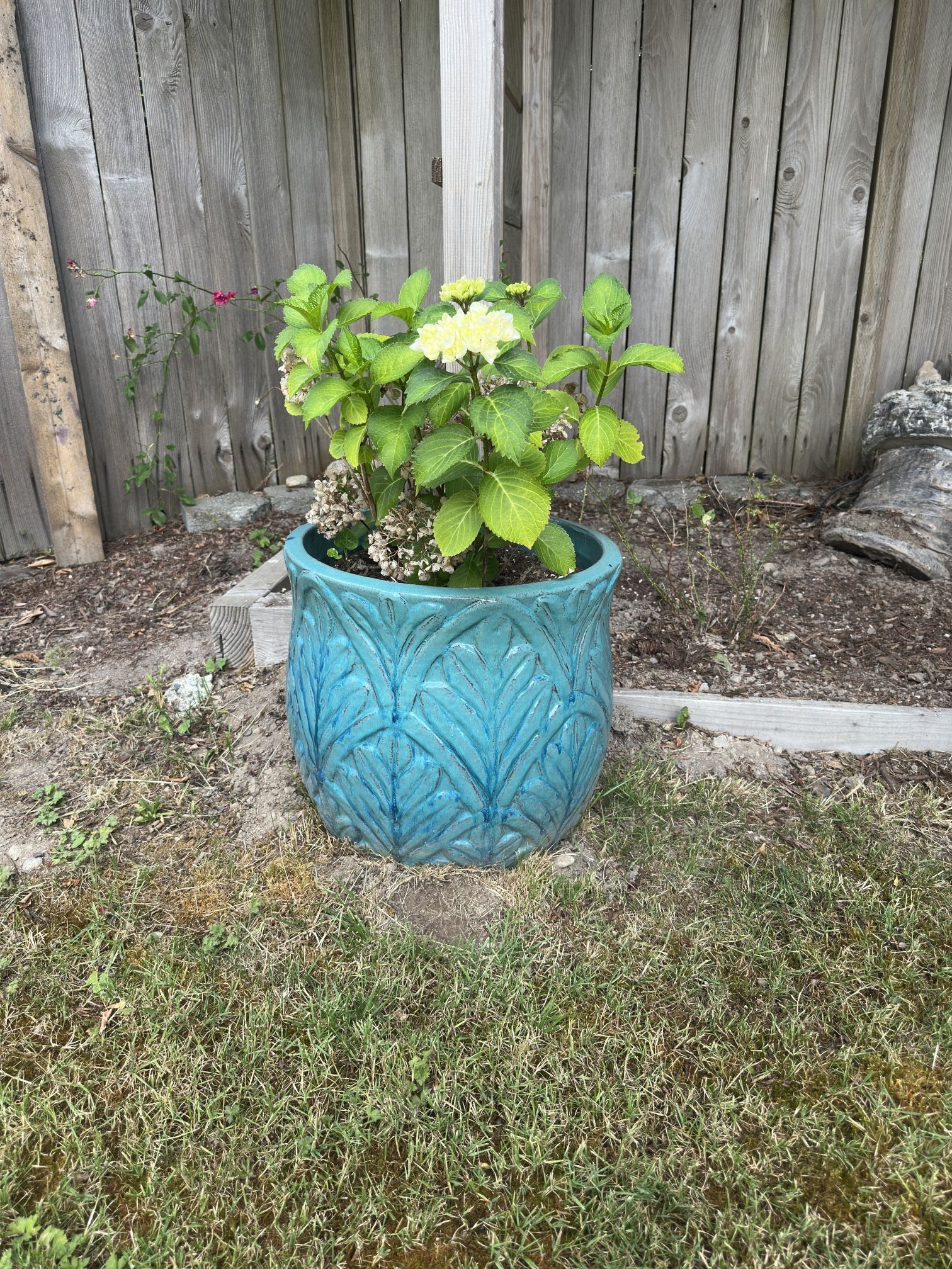 Clay Flower Pots