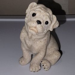 Small Collection Dog