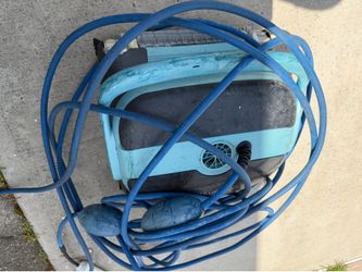 Dolphin robot pool cleaner