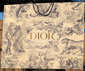 XL DIOR Paper Shopping Bag - 25" x 20" x 10"