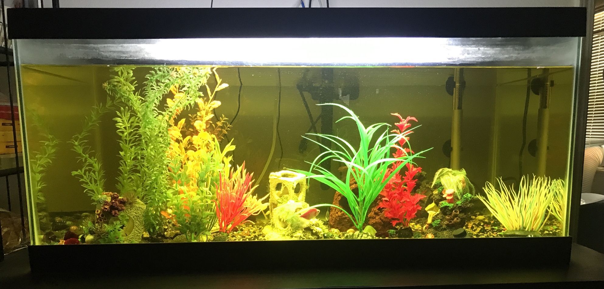 Fish Tank 40+Gallons & Accessories etc.,
