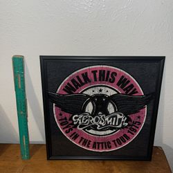 Aerosmith Frame 