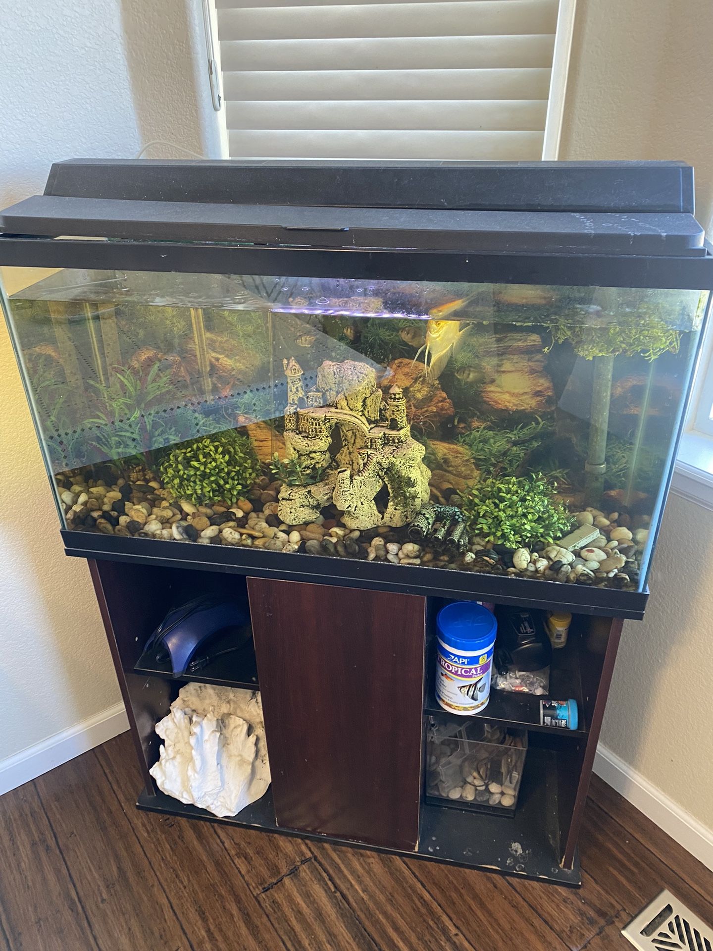 Fish Tank 32 Gallons