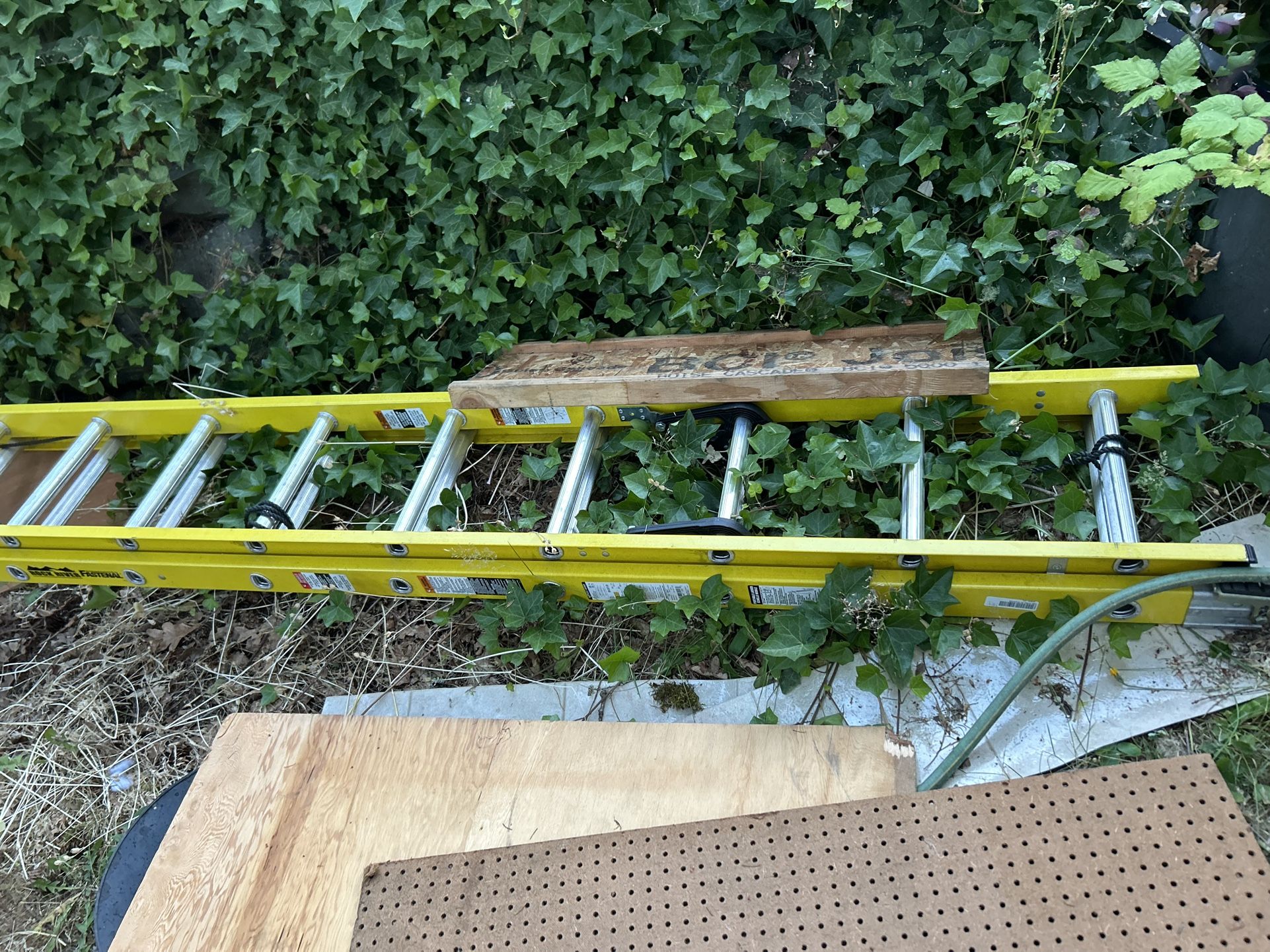 Ladder