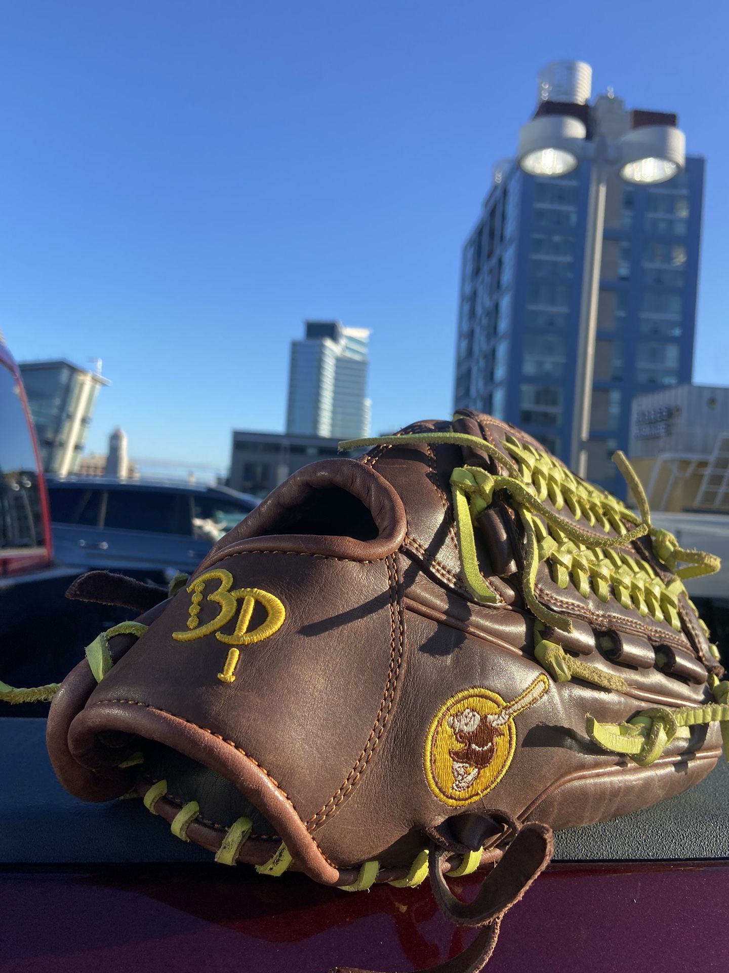 Padres Custom Baseball Glove