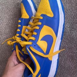 Dunks Size 11