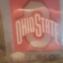 Ohio State Buckeyes Large House Flag