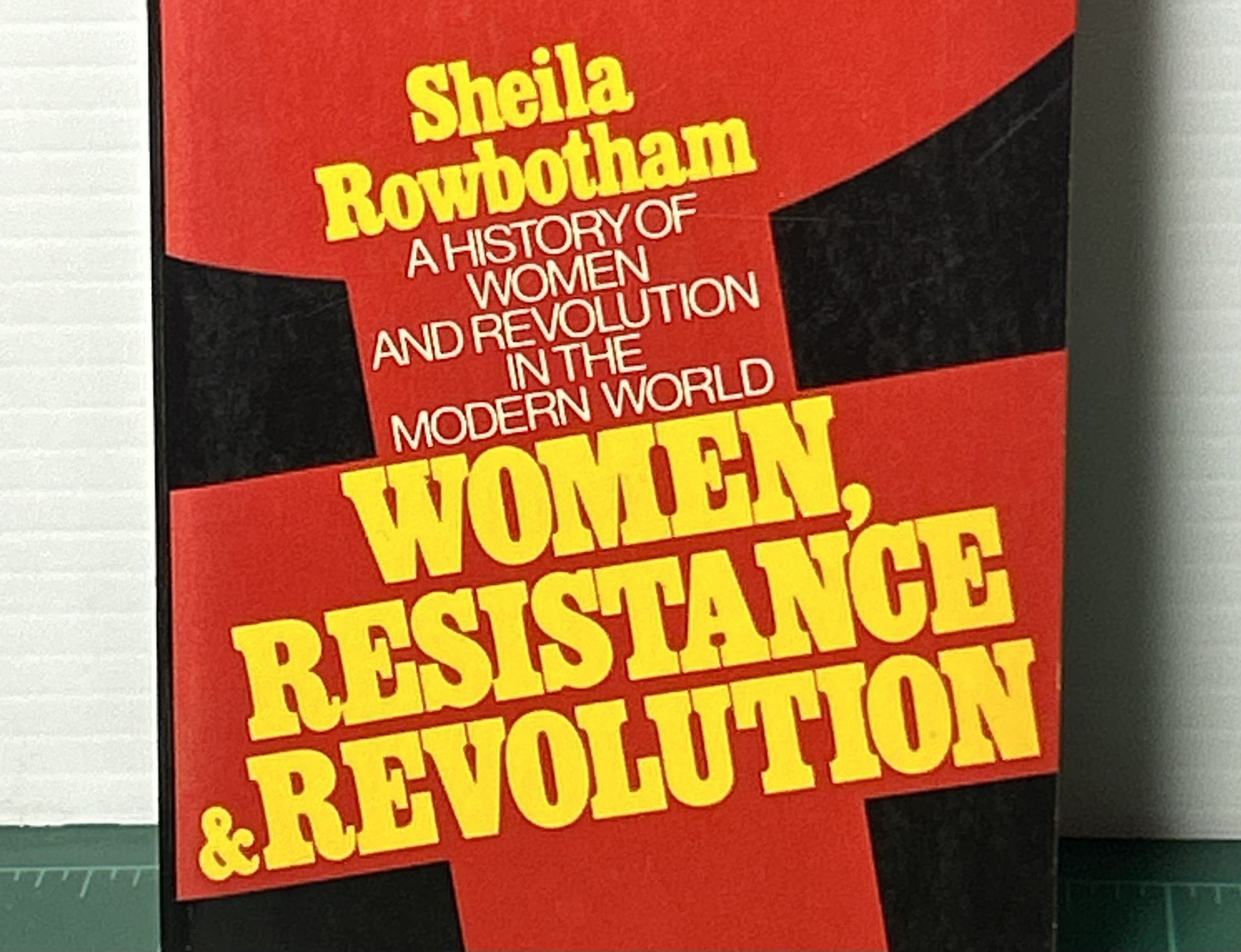 Women, Resistance and Revolution: A History Of Women And Revolution In The Modern World  (1972) Vintage!