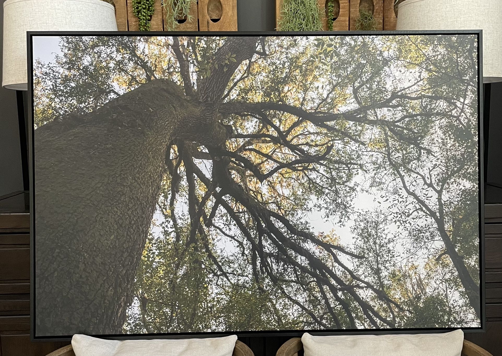 “Reaching” | Canvas Nature Print | 32” x 48” w/black floating frame