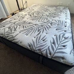 Sealy Posturepedic Plus Mount Auburn 13” Medium Queen Mattress