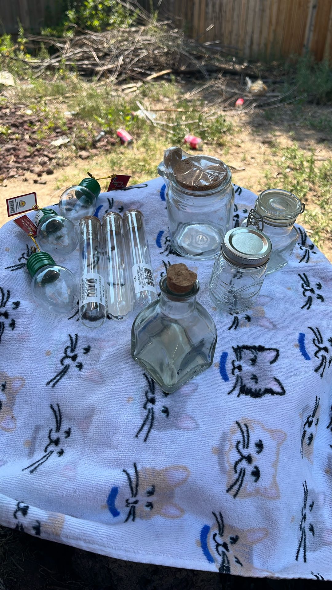 Craft Glass Set