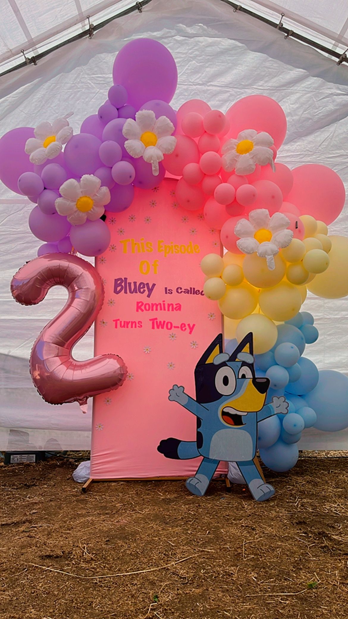 Back Drop And Card Board Cut Outs
