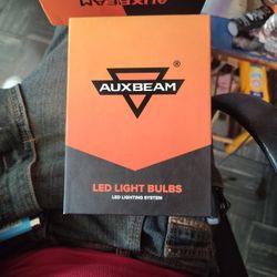 LED Light Bulbs, Lighting System