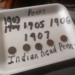 5 Indian Head Penny 