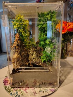 12x12x18 acrylic enclosure by Herpcult