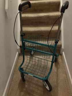 Shopping Carriage Cart (Walker In Need) Folds $54