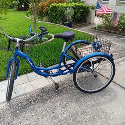Blue Schwinn 3 Wheel Bike