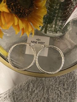 Large Hoop Earrings