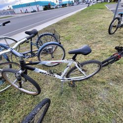 Giant Rincon Bicycle 26 In In Bakersfield Ca I