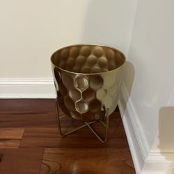 Flower Pot 