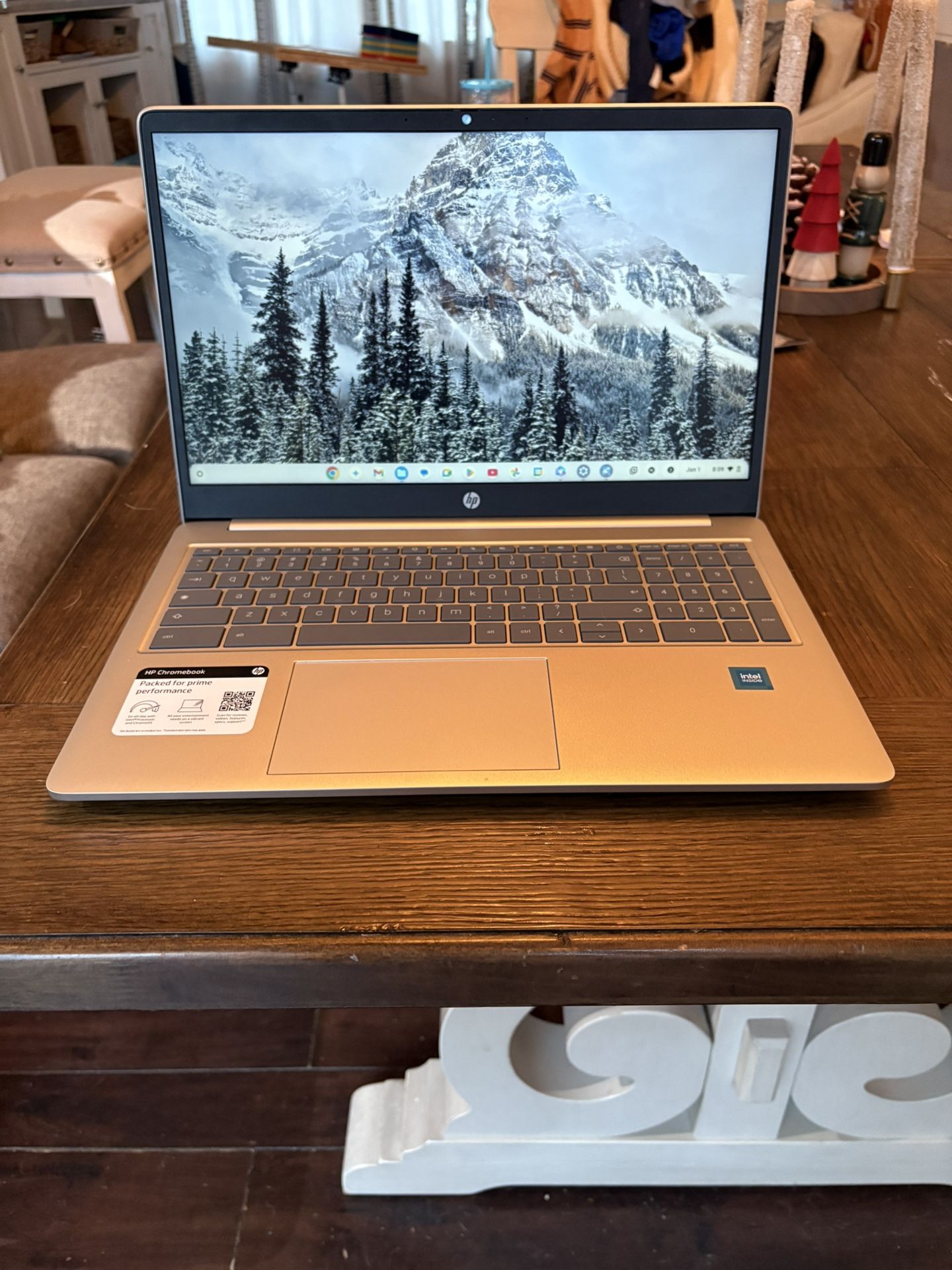 15.6” HP Chromebook