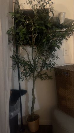 Tall Faux Olive Tree in Pot